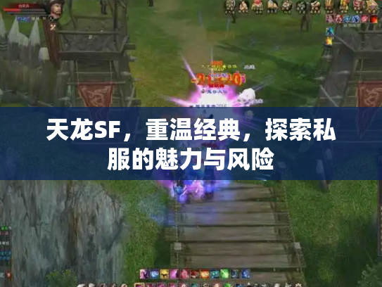 天龙SF，重温经典，探索私服的魅力与风险