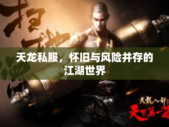 天龙私服，怀旧与风险并存的江湖世界