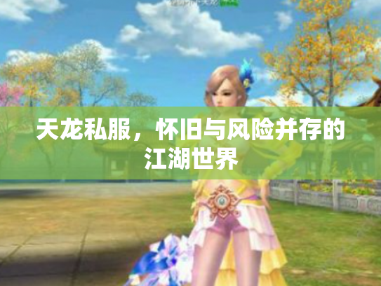 天龙私服，怀旧与风险并存的江湖世界