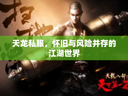 天龙私服，怀旧与风险并存的江湖世界