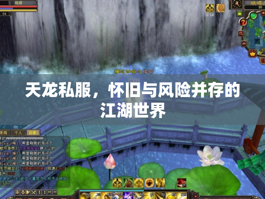 天龙私服，怀旧与风险并存的江湖世界