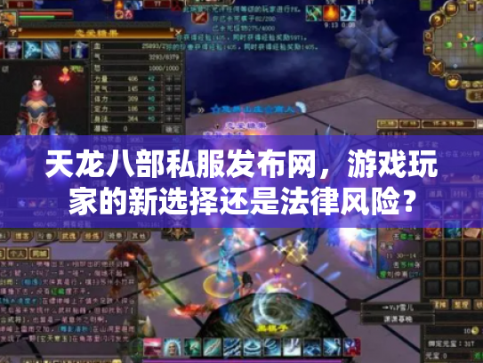 天龙八部私服发布网，游戏玩家的新选择还是法律风险？