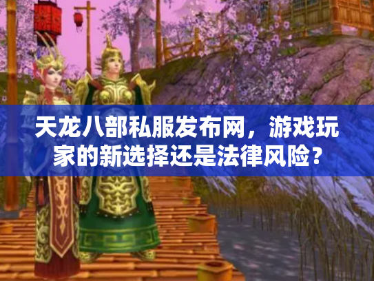 天龙八部私服发布网，游戏玩家的新选择还是法律风险？