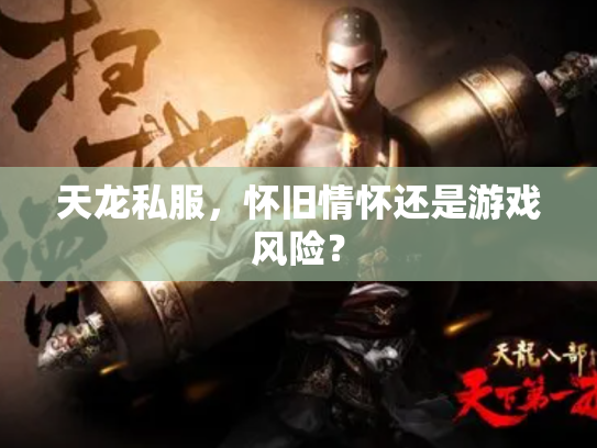 天龙私服，怀旧情怀还是游戏风险？
