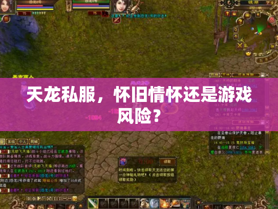 天龙私服，怀旧情怀还是游戏风险？