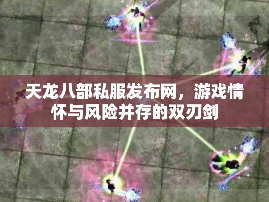 天龙八部私服发布网，游戏情怀与风险并存的双刃剑