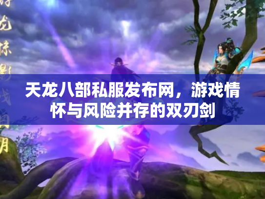 天龙八部私服发布网，游戏情怀与风险并存的双刃剑