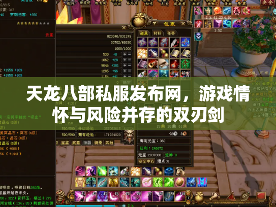 天龙八部私服发布网，游戏情怀与风险并存的双刃剑