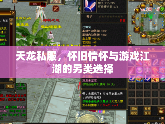 天龙私服，怀旧情怀与游戏江湖的另类选择