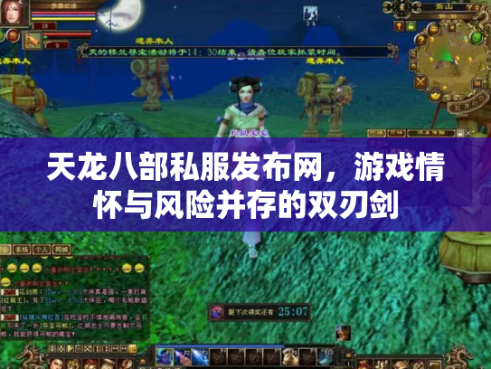 天龙八部私服发布网，游戏情怀与风险并存的双刃剑