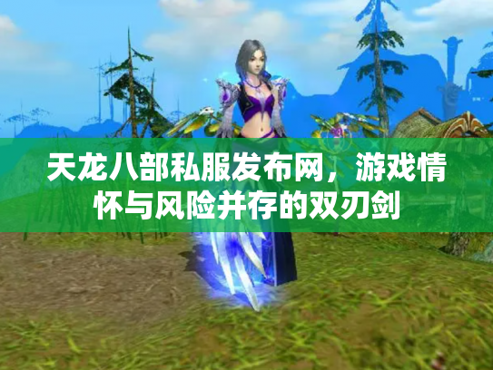 天龙八部私服发布网，游戏情怀与风险并存的双刃剑