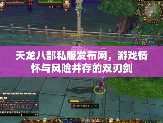 天龙八部私服发布网，游戏情怀与风险并存的双刃剑