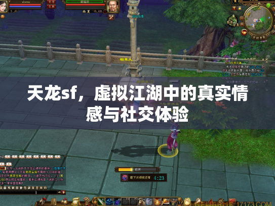 天龙sf，虚拟江湖中的真实情感与社交体验