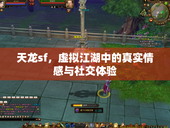 天龙sf，虚拟江湖中的真实情感与社交体验
