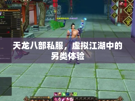 天龙八部私服，虚拟江湖中的另类体验