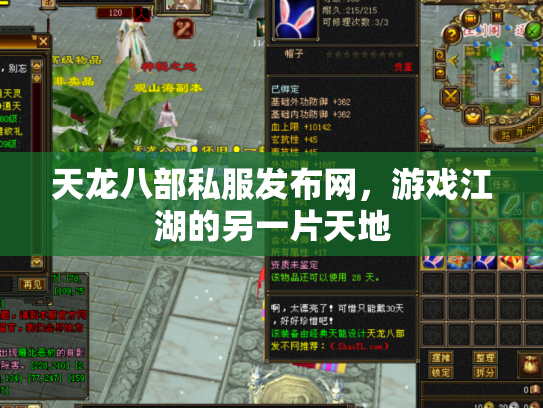 天龙八部私服发布网，游戏江湖的另一片天地