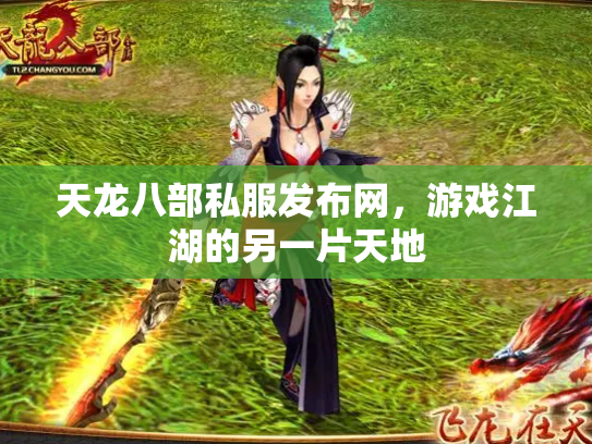 天龙八部私服发布网，游戏江湖的另一片天地