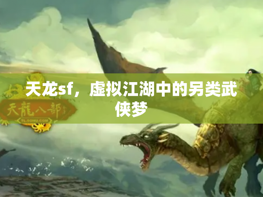 天龙sf，虚拟江湖中的另类武侠梦
