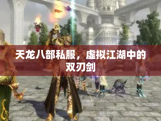 天龙八部私服，虚拟江湖中的双刃剑