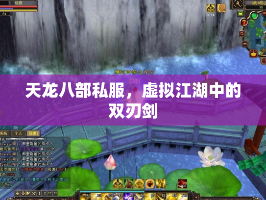 天龙八部私服，虚拟江湖中的双刃剑