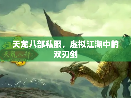天龙八部私服，虚拟江湖中的双刃剑