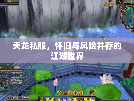 天龙私服，怀旧与风险并存的江湖世界