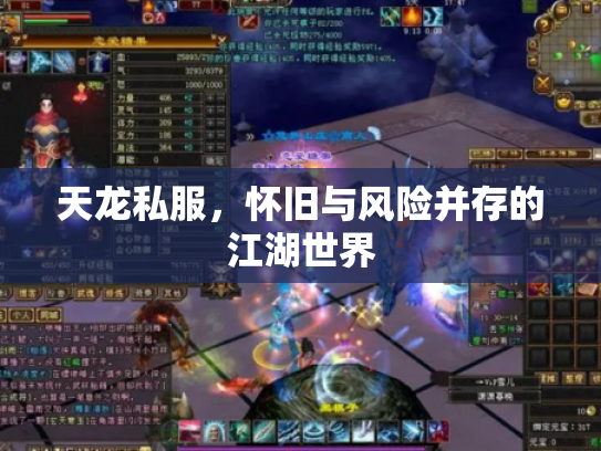 天龙私服，怀旧与风险并存的江湖世界