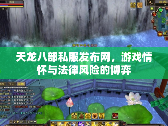 天龙八部私服发布网，游戏情怀与法律风险的博弈