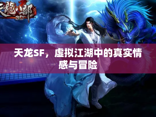 天龙SF，虚拟江湖中的真实情感与冒险