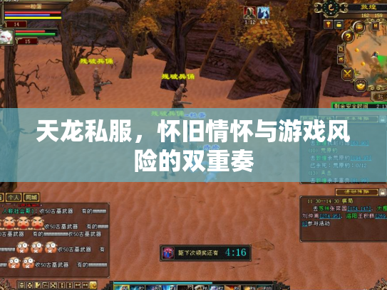 天龙私服，怀旧情怀与游戏风险的双重奏