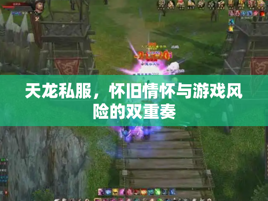 天龙私服，怀旧情怀与游戏风险的双重奏