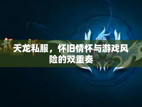 天龙私服，怀旧情怀与游戏风险的双重奏