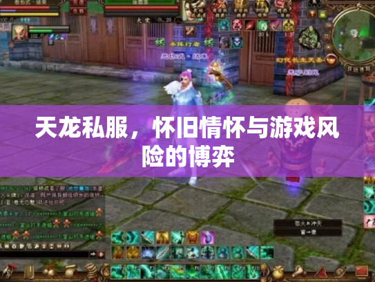 天龙私服，怀旧情怀与游戏风险的博弈