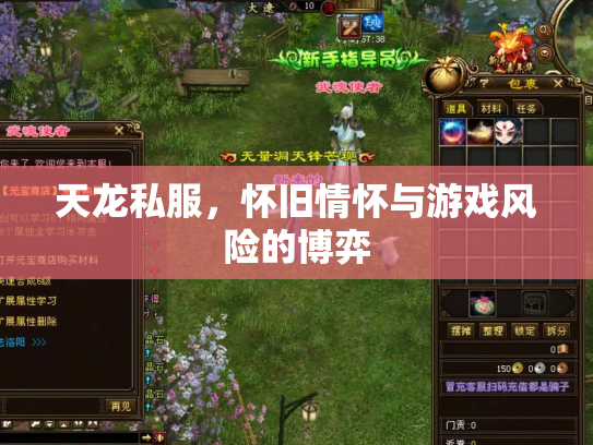 天龙私服，怀旧情怀与游戏风险的博弈