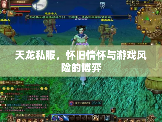天龙私服，怀旧情怀与游戏风险的博弈