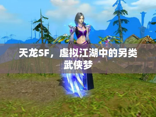 天龙SF，虚拟江湖中的另类武侠梦