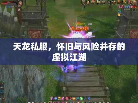 天龙私服，怀旧与风险并存的虚拟江湖
