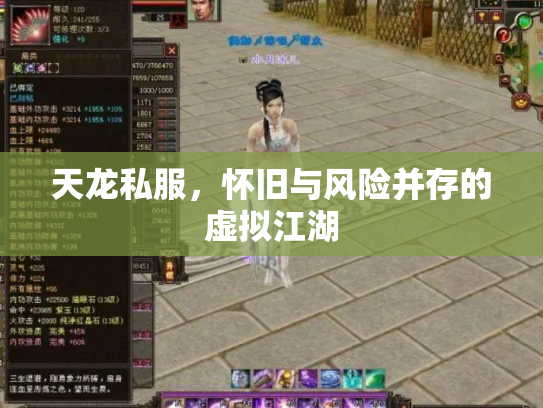 天龙私服，怀旧与风险并存的虚拟江湖