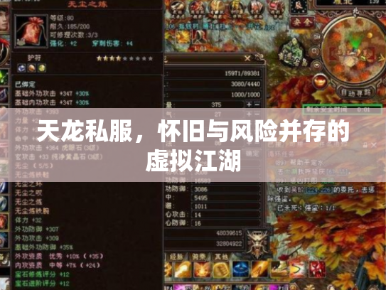 天龙私服，怀旧与风险并存的虚拟江湖