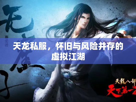 天龙私服，怀旧与风险并存的虚拟江湖