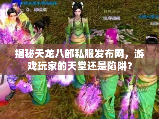 揭秘天龙八部私服发布网，游戏玩家的天堂还是陷阱？