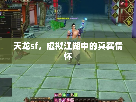 天龙sf，虚拟江湖中的真实情怀