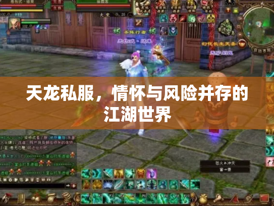 天龙私服，情怀与风险并存的江湖世界