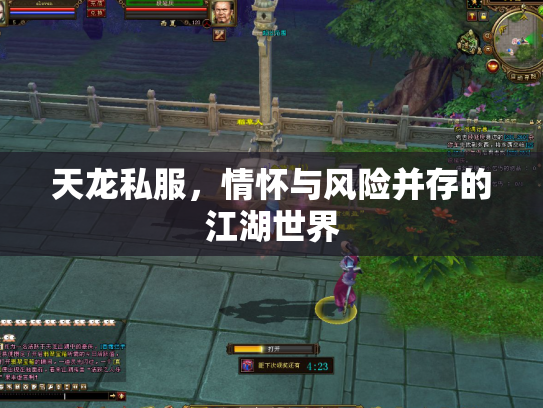 天龙私服，情怀与风险并存的江湖世界