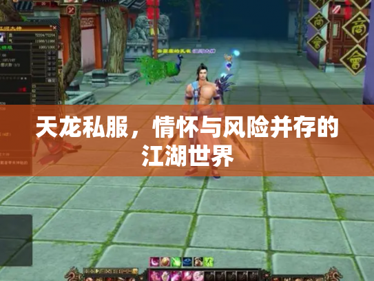 天龙私服，情怀与风险并存的江湖世界