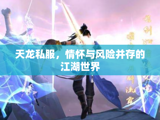 天龙私服，情怀与风险并存的江湖世界