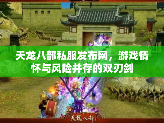 天龙八部私服发布网，游戏情怀与风险并存的双刃剑