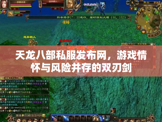 天龙八部私服发布网，游戏情怀与风险并存的双刃剑