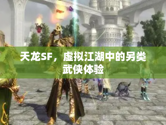 天龙SF，虚拟江湖中的另类武侠体验