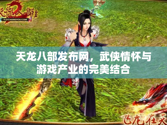 天龙八部发布网，武侠情怀与游戏产业的完美结合